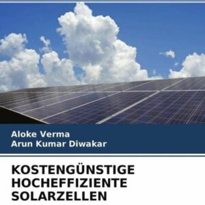 Kostengünstige Hocheffiziente Solarzellen