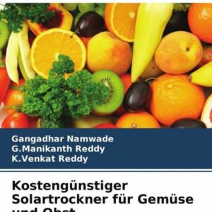 Kostengünstiger Solartrockner für Gemüse und Obst