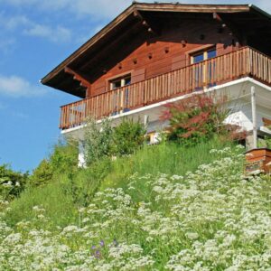 Luxurioses Chalet mit Terrasse bei Veysonnaz