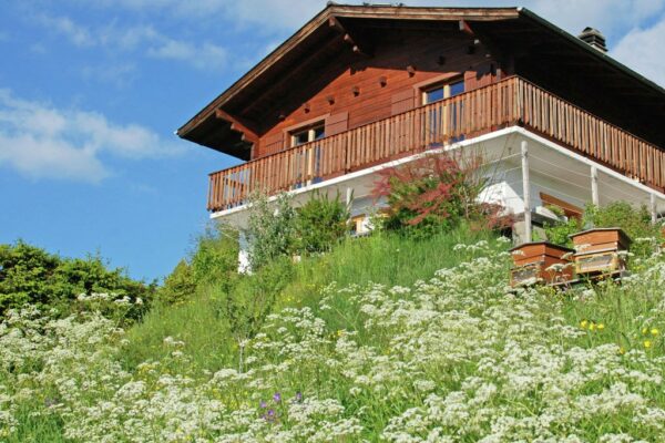 Luxurioses Chalet mit Terrasse bei Veysonnaz