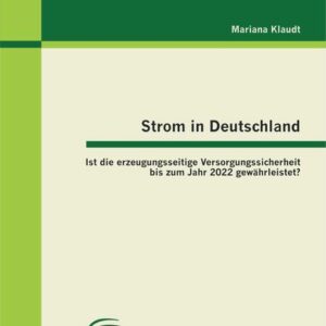 Strom in Deutschland - Ist die erzeugungsseitige Versorgungssicherheit bis zum Jahr 2022 gewährleistet?