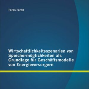 Wirtschaftlichkeitsszenarien von Speichermöglichkeiten als Grundlage für Geschäftsmodelle von Energieversorgern