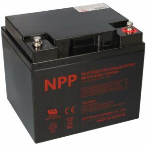 Npp Blei-Akku NPD12-45 12V 45Ah zyklisch Anschluss: T14 (M6)