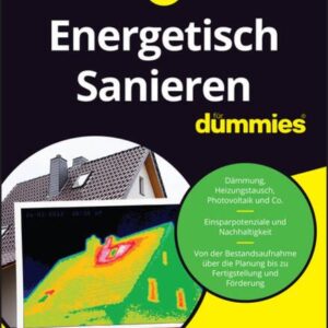 Energetisch Sanieren für Dummies