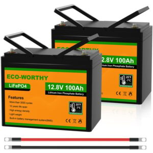 Eco-worthy - 12V 100Ah Low Temp Cut-Off LiFePO4 Akku Lithium Batterie mit bms schutz und 3000-15000 Zyklen,1280Wh Lithiumbatterie für