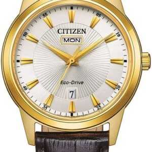 Citizen Solaruhr AW0102-13A