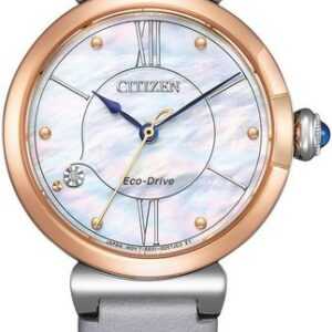 Citizen Solaruhr EM1074-15D