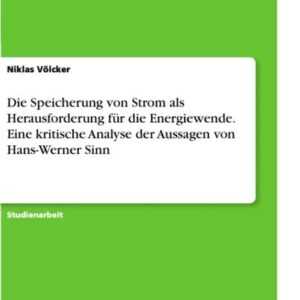 Die Speicherung von Strom als Herausforderung für die Energiewende. Eine kritische Analyse der Aussagen von Hans-Werner Sinn