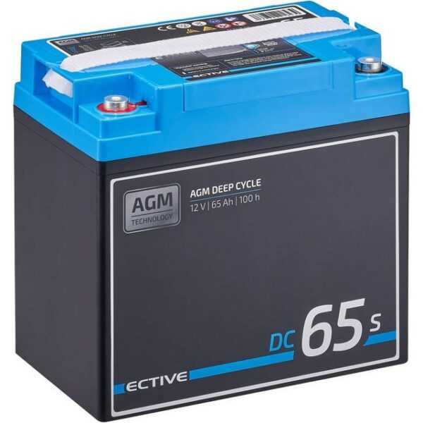 ECTIVE ECTIVE Deep Cycle AGM Batterie 12V 65Ah m Display für Wohnmobil Batterie, (12 V V)