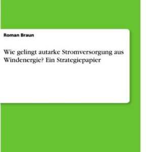 Wie gelingt autarke Stromversorgung aus Windenergie? Ein Strategiepapier